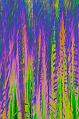 Funky Cattails